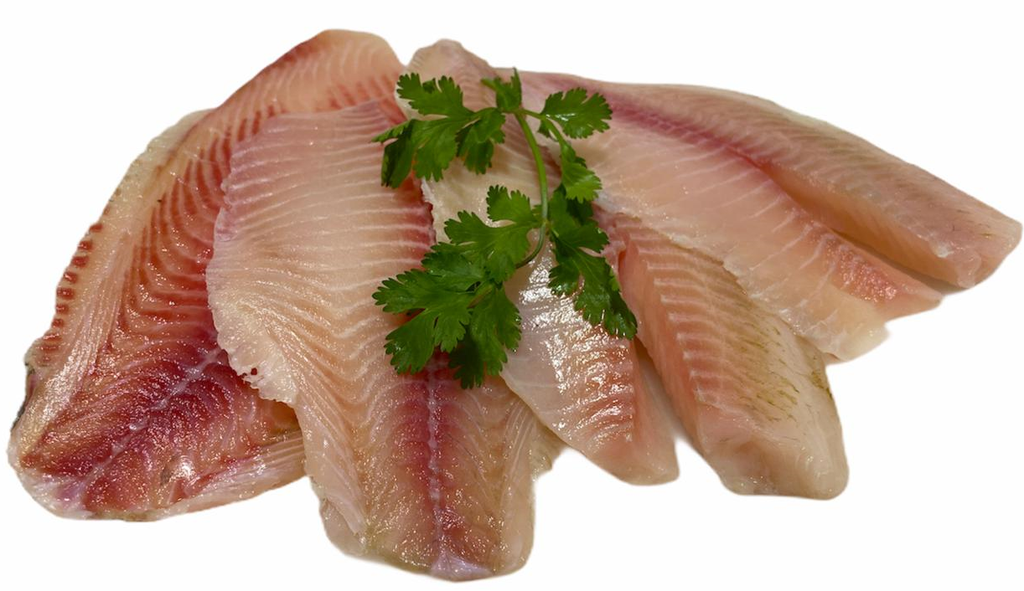 FILETE TILAPIA IMPORTADO LIBRA