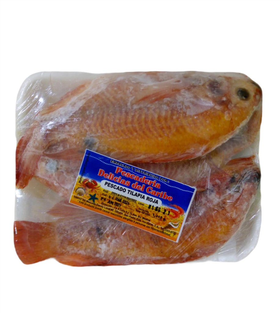 BJA TILAPIA ROJA LIBRA DELICIA