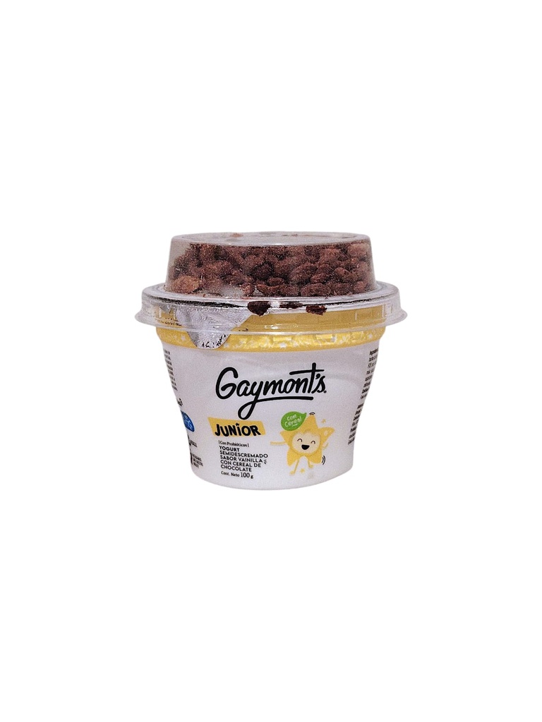 YOGURT GAYMONTS CHOCOLATE CON