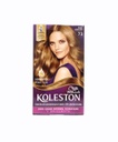 TINTE KOLESTON RUBIO AVELLANA
