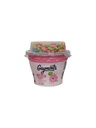 YOGURT GAYMONTS JUNIOR CON CER