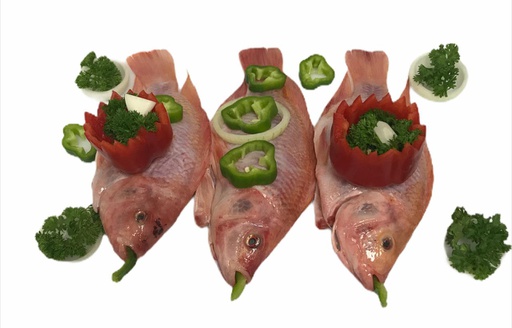 [2001874] TILAPIA ROJA LIMPIA FRESCA LB