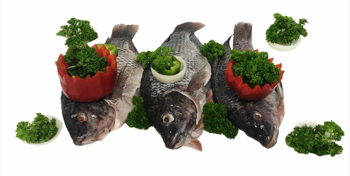 [2002435] TILAPIA GRIS/NEGRA LIMPIA/ESCA