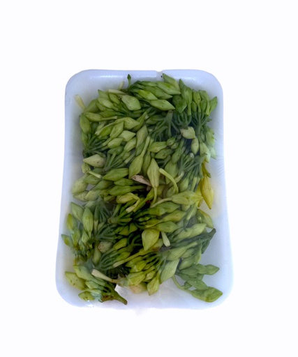 [2527] LOROCO BANDEJA