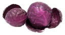 REPOLLO MORADO