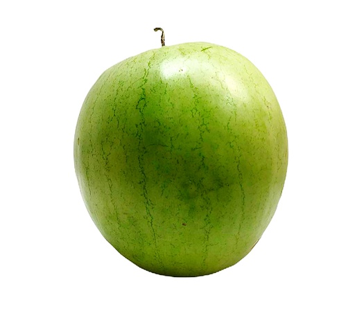 [388] SANDIA GRANDE