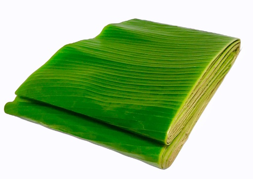 [750] HOJA DE TAMAL MAZO