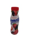 YOGURT GAYMAONTS FRESA MORA 